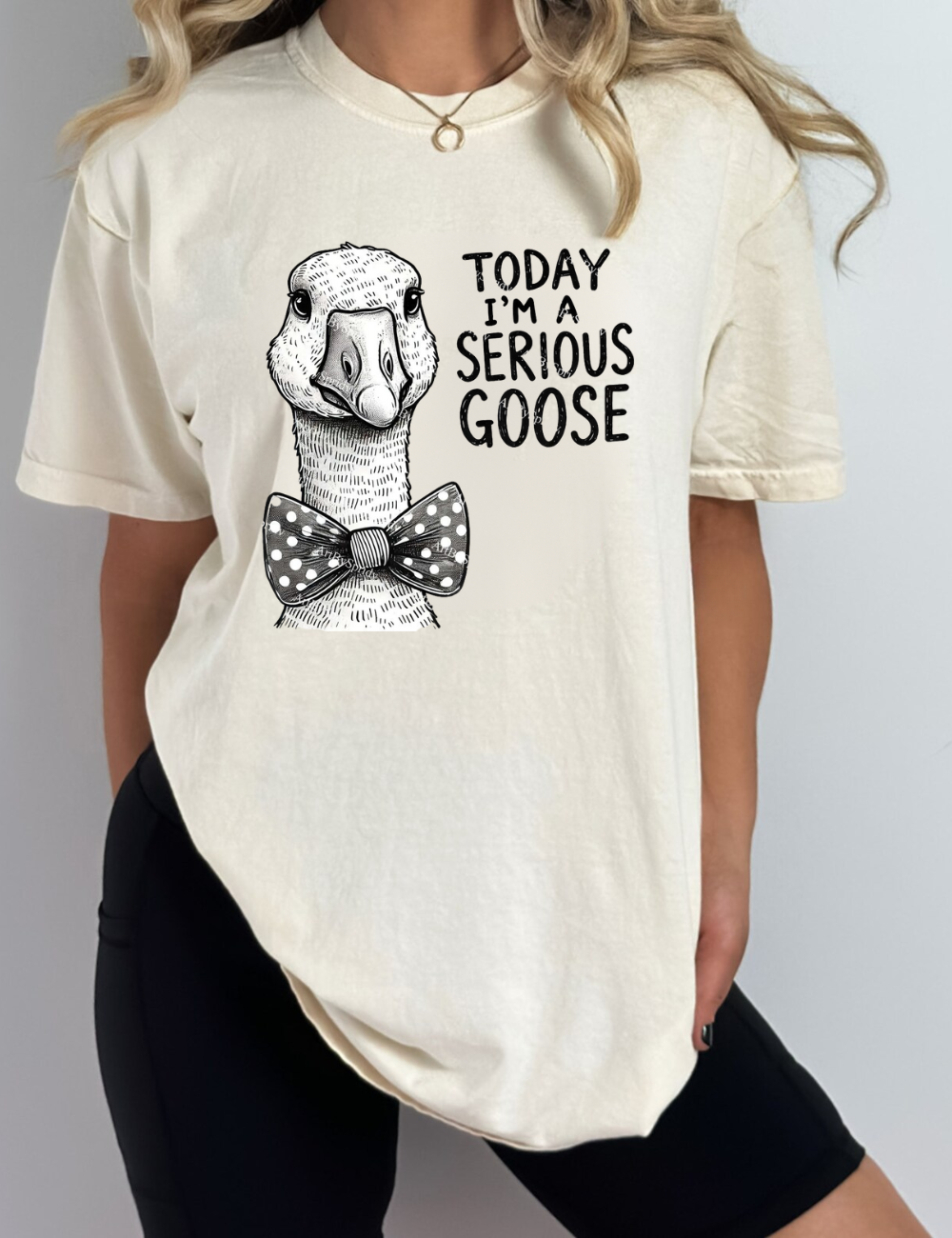 Serious Goose T-Shirt
